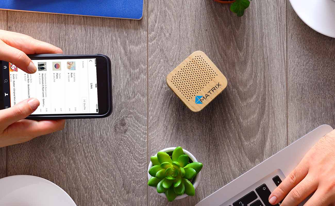 Seed - Custom Bluetooth Wooden Speaker gallery thumbnail